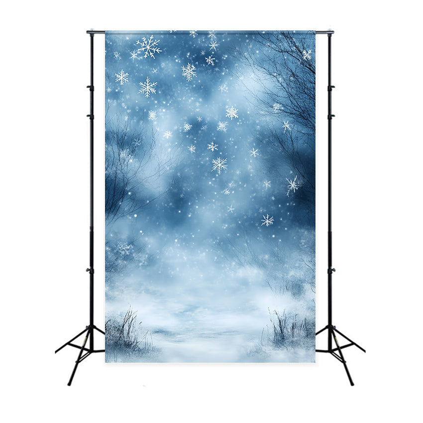 Winter Wonderland Backdrop Winter Blue Breeze Dream Backdrop CSH57-204