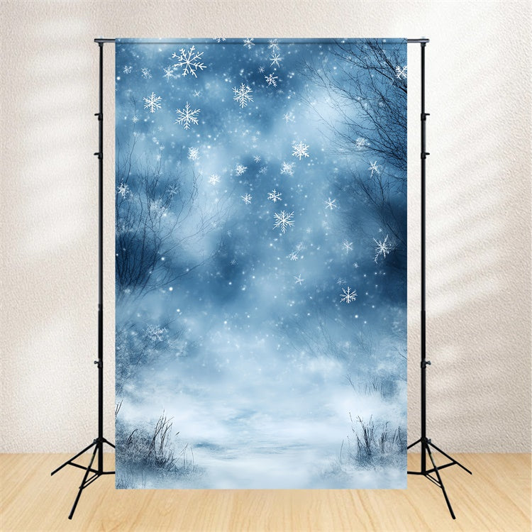Winter Wonderland Backdrop Winter Blue Breeze Dream Backdrop CSH57-204