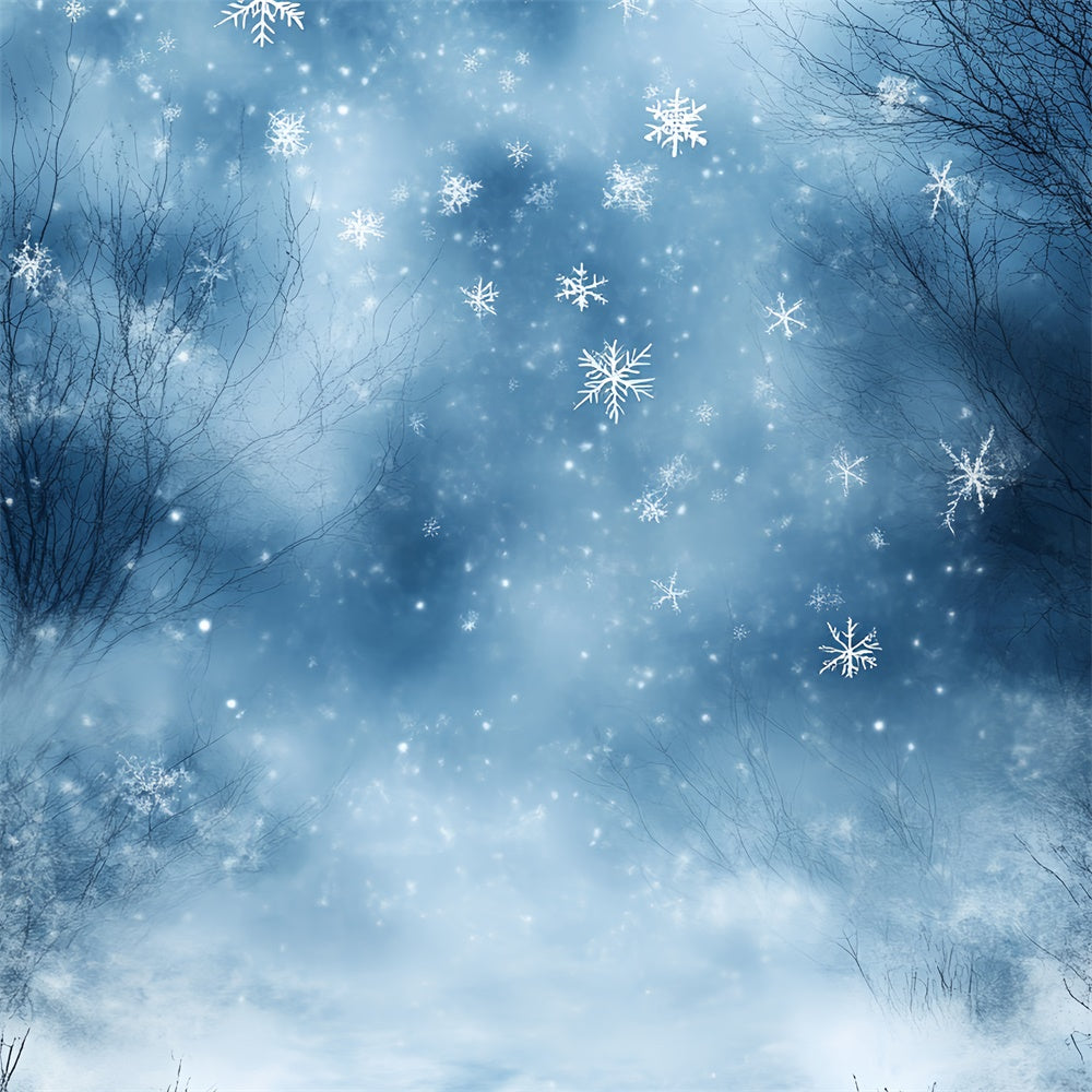 Winter Wonderland Backdrop Winter Blue Breeze Dream Backdrop CSH57-204