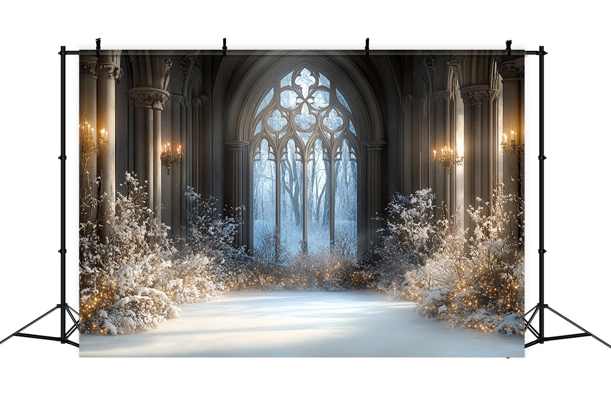 Winter Backdrop Photography Snowlit Gothic Hall Backdrop CSH57-206
