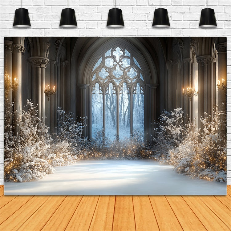 Winter Backdrop Photography Snowlit Gothic Hall Backdrop CSH57-206
