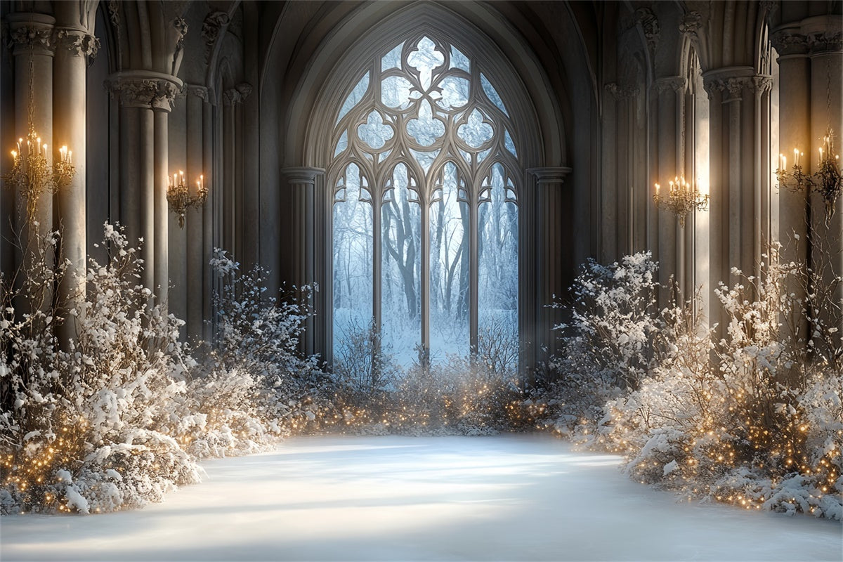 Winter Backdrop Photography Snowlit Gothic Hall Backdrop CSH57-206