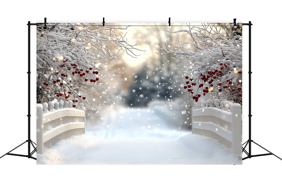 Winter Wonderland Backdrops Berry Snow Bridge Backdrop CSH57-216