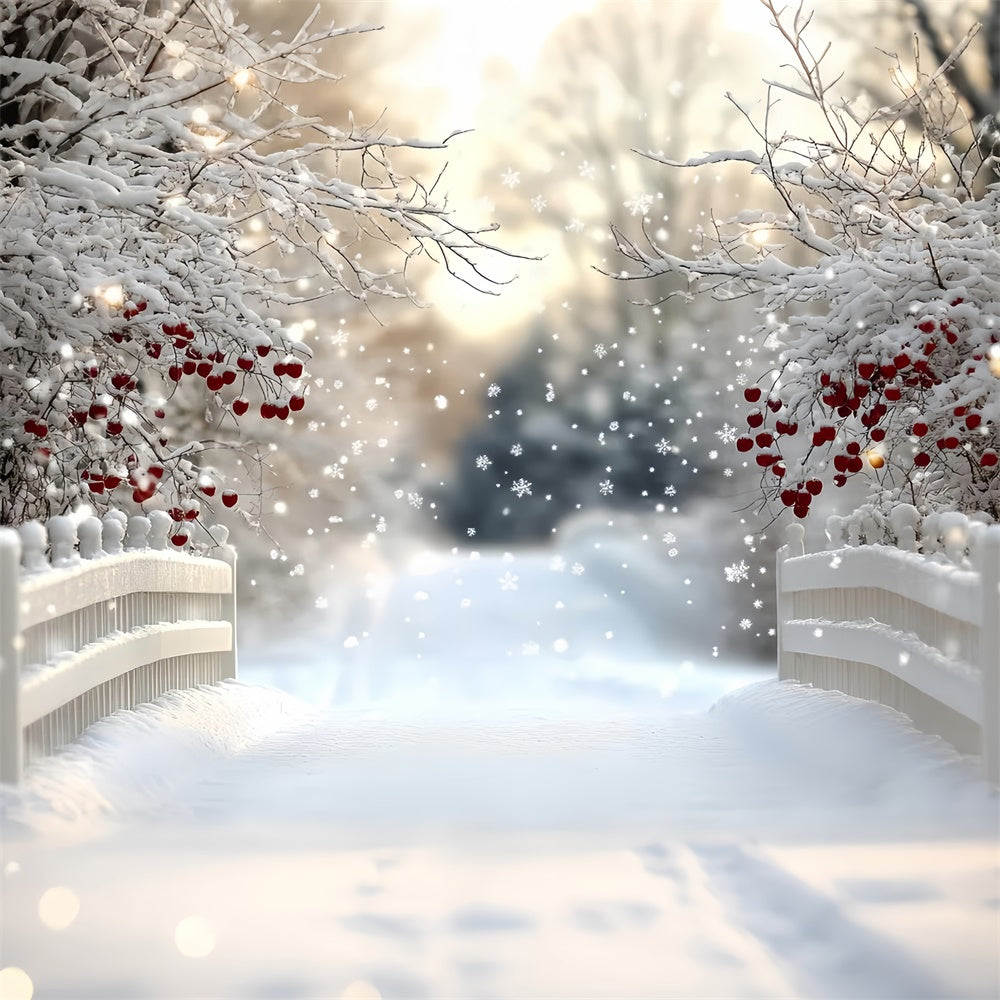 Winter Wonderland Backdrops Berry Snow Bridge Backdrop CSH57-216