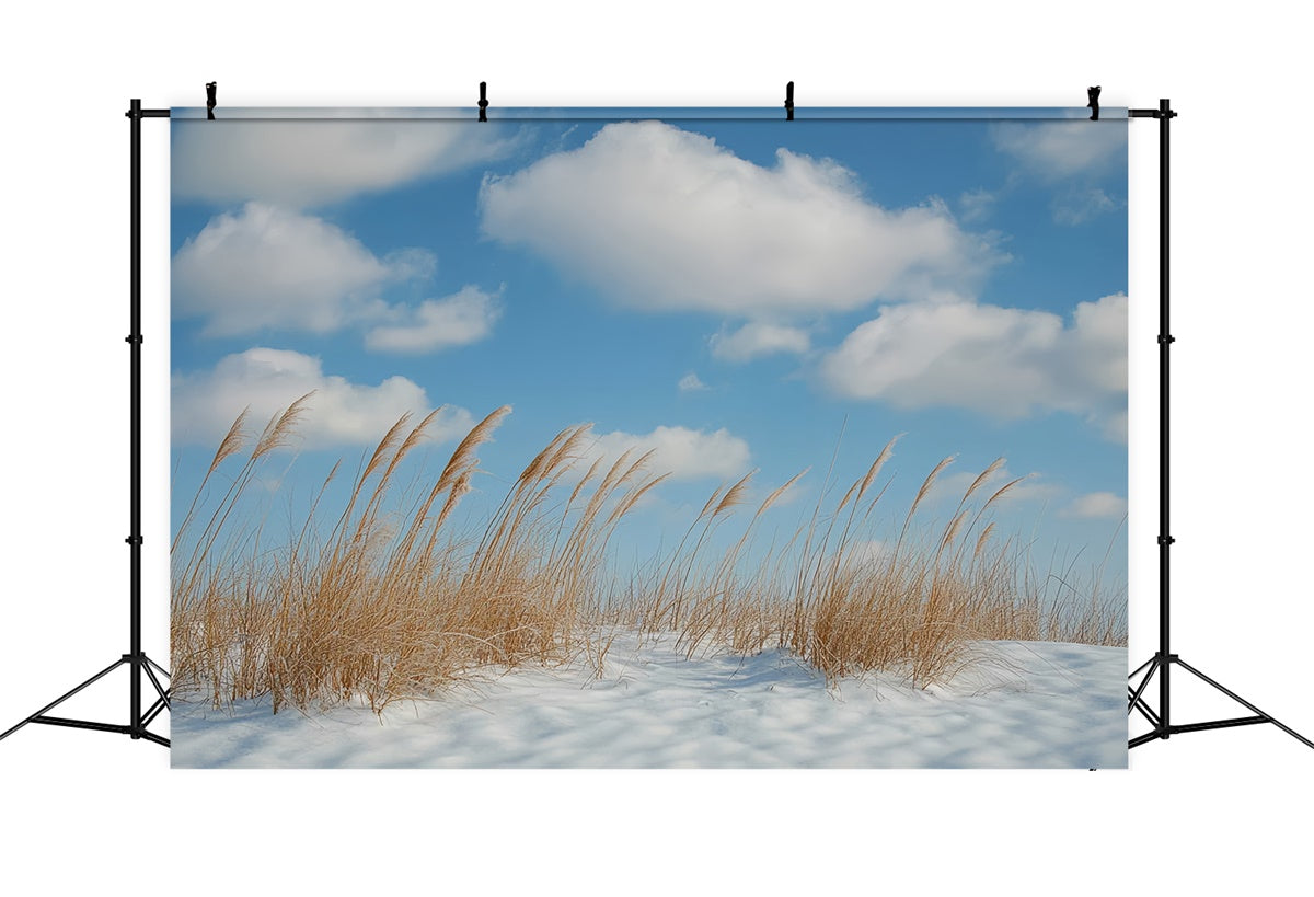 Winter Backdrops Meadow Breeze Blue Sky Backdrop CSH57-222