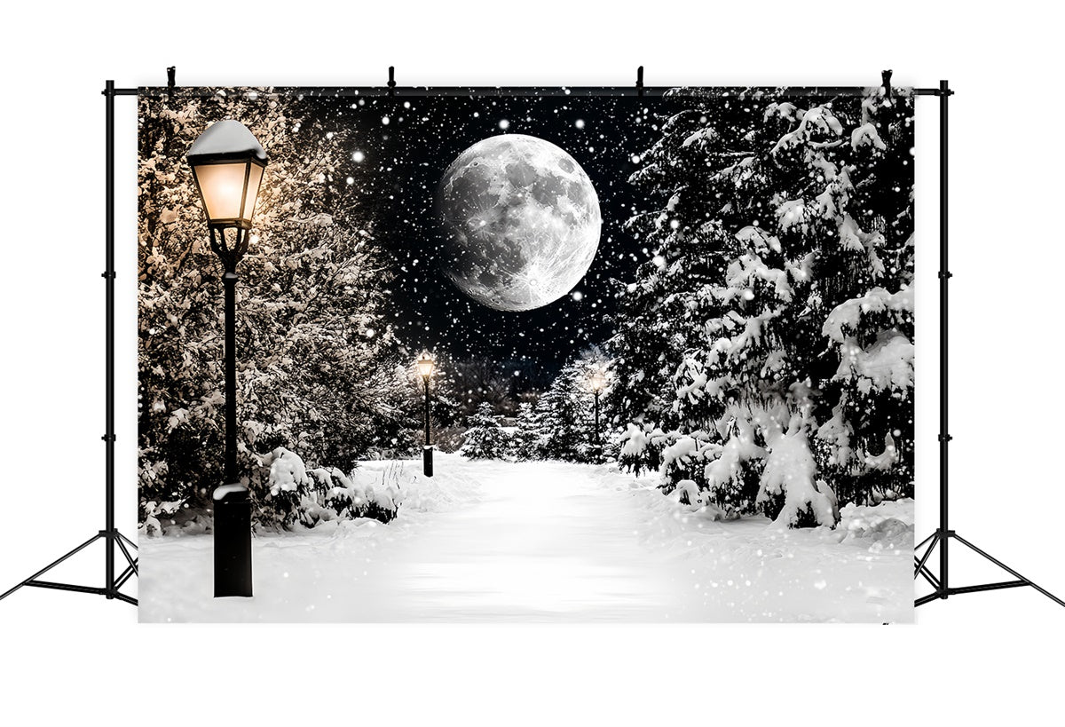 Winter Snow Backdrop Midnight Snowfall Trail Backdrop CSH57-223