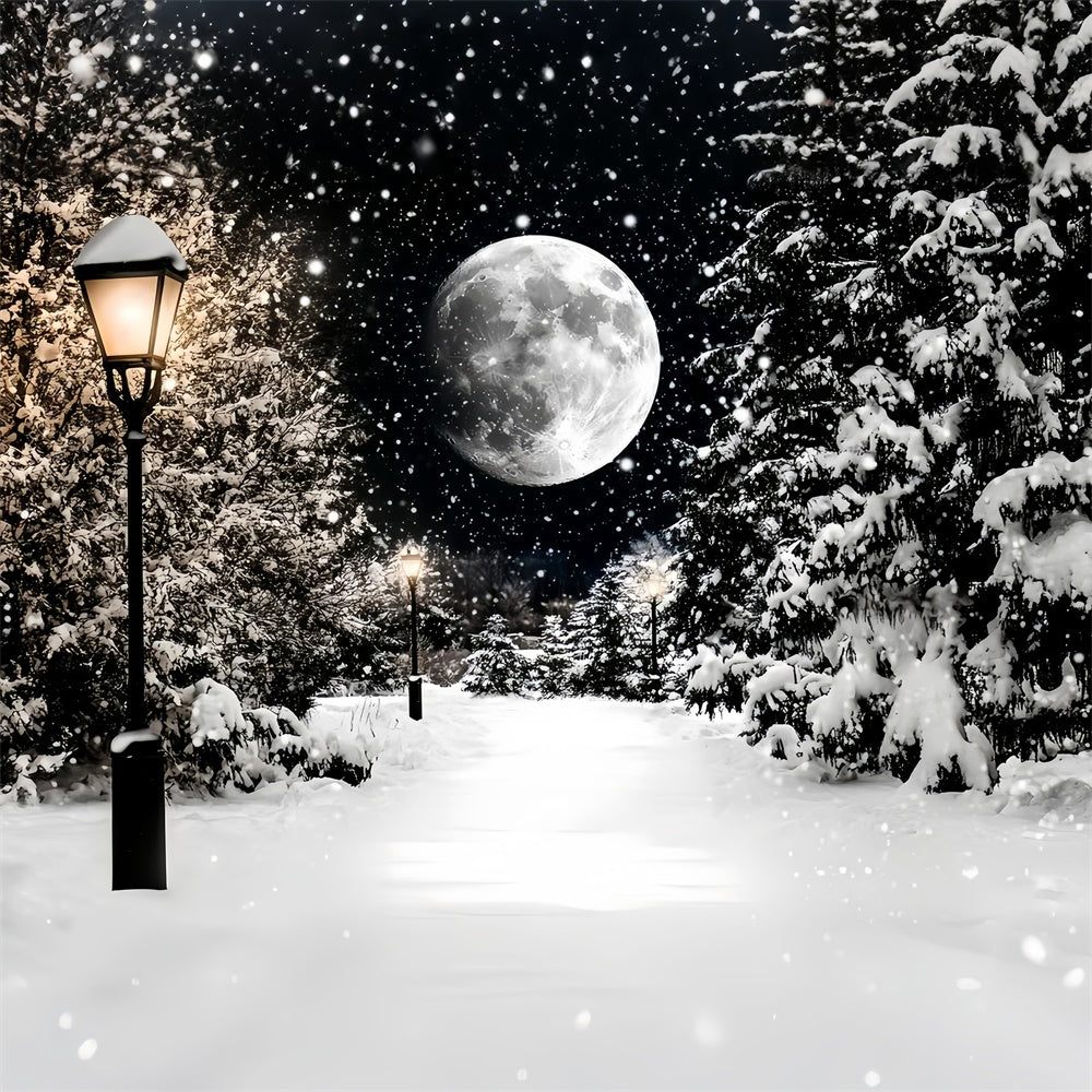 Winter Snow Backdrop Midnight Snowfall Trail Backdrop CSH57-223