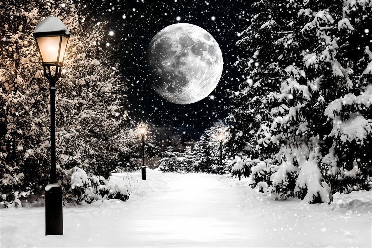 Winter Snow Backdrop Midnight Snowfall Trail Backdrop CSH57-223