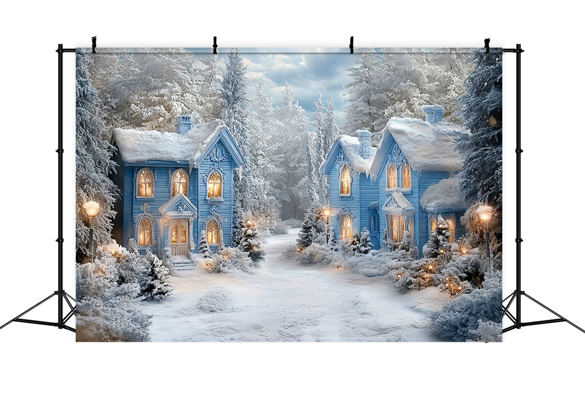 Winter Wonderland Backdrop Snow Winter Cottages Backdrop CSH57-228