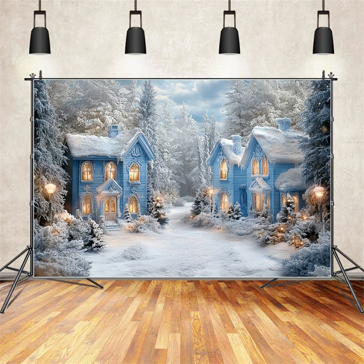 Winter Wonderland Backdrop Snow Winter Cottages Backdrop CSH57-228
