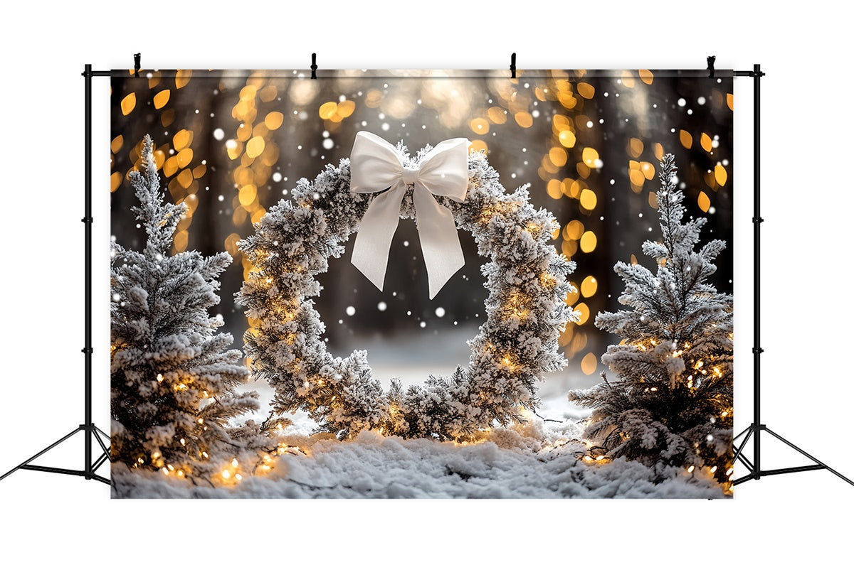 Winter Photo Backdrop Frosted Pine Wreath Backdrop CSH57-231