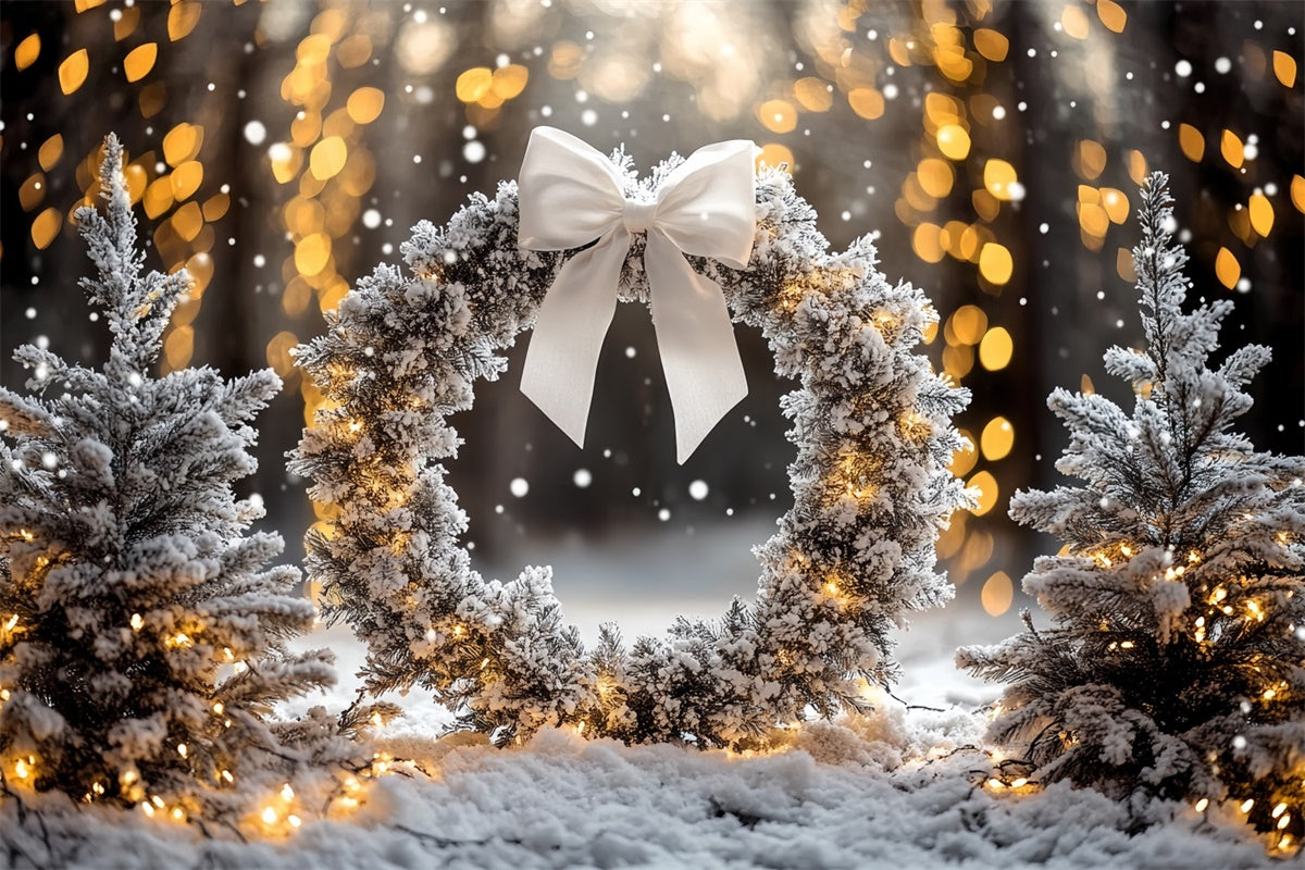 Winter Photo Backdrop Frosted Pine Wreath Backdrop CSH57-231