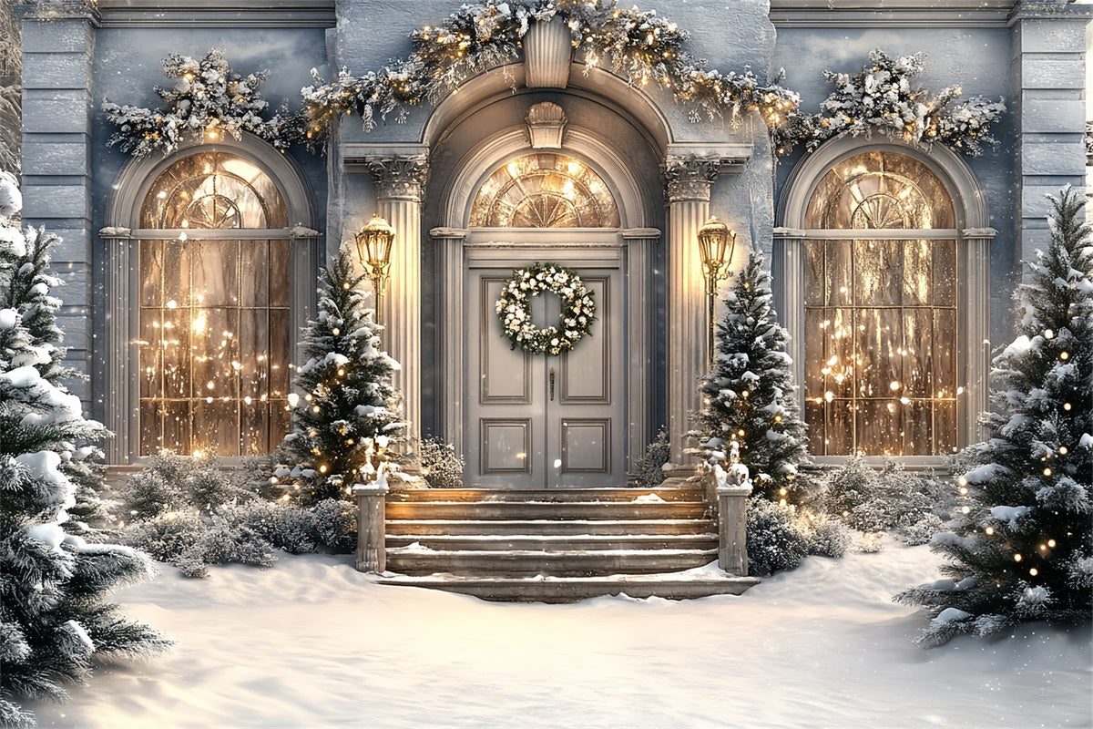 Winter Snow Backdrop Holiday Manor Porch Backdrop CSH57-234