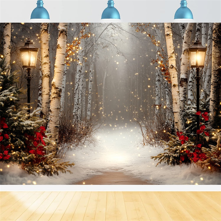 Winter Scene Backdrop Holiday Twilight Birch Backdrop CSH57-237