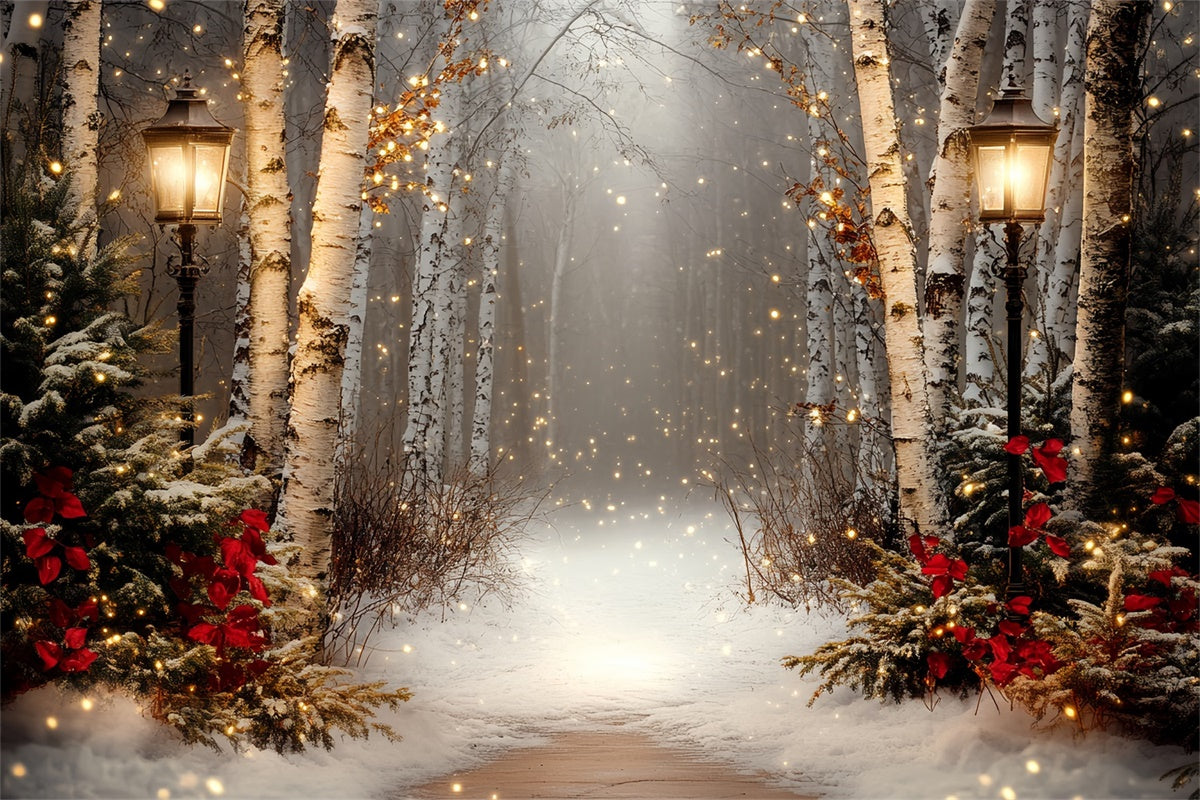 Winter Scene Backdrop Holiday Twilight Birch Backdrop CSH57-237