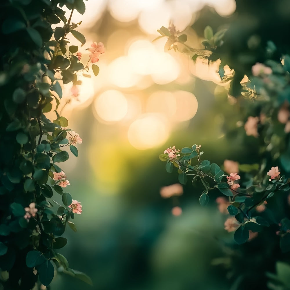 Headshot Photo Backdrop Sunset Garden Bloom Backdrop CSH57-3