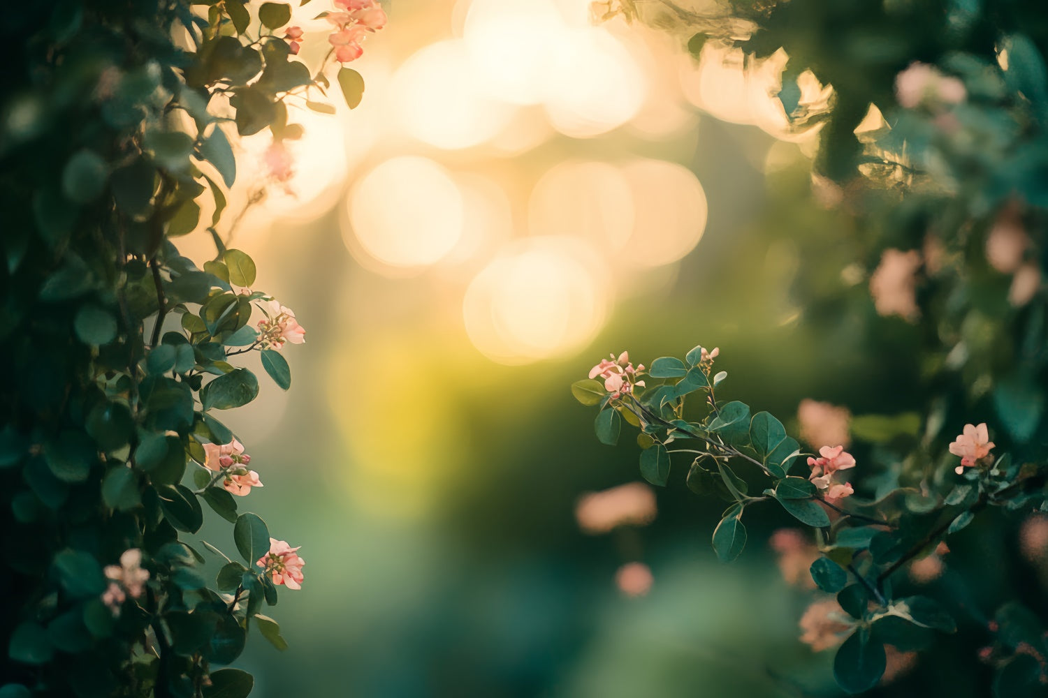 Headshot Photo Backdrop Sunset Garden Bloom Backdrop CSH57-3
