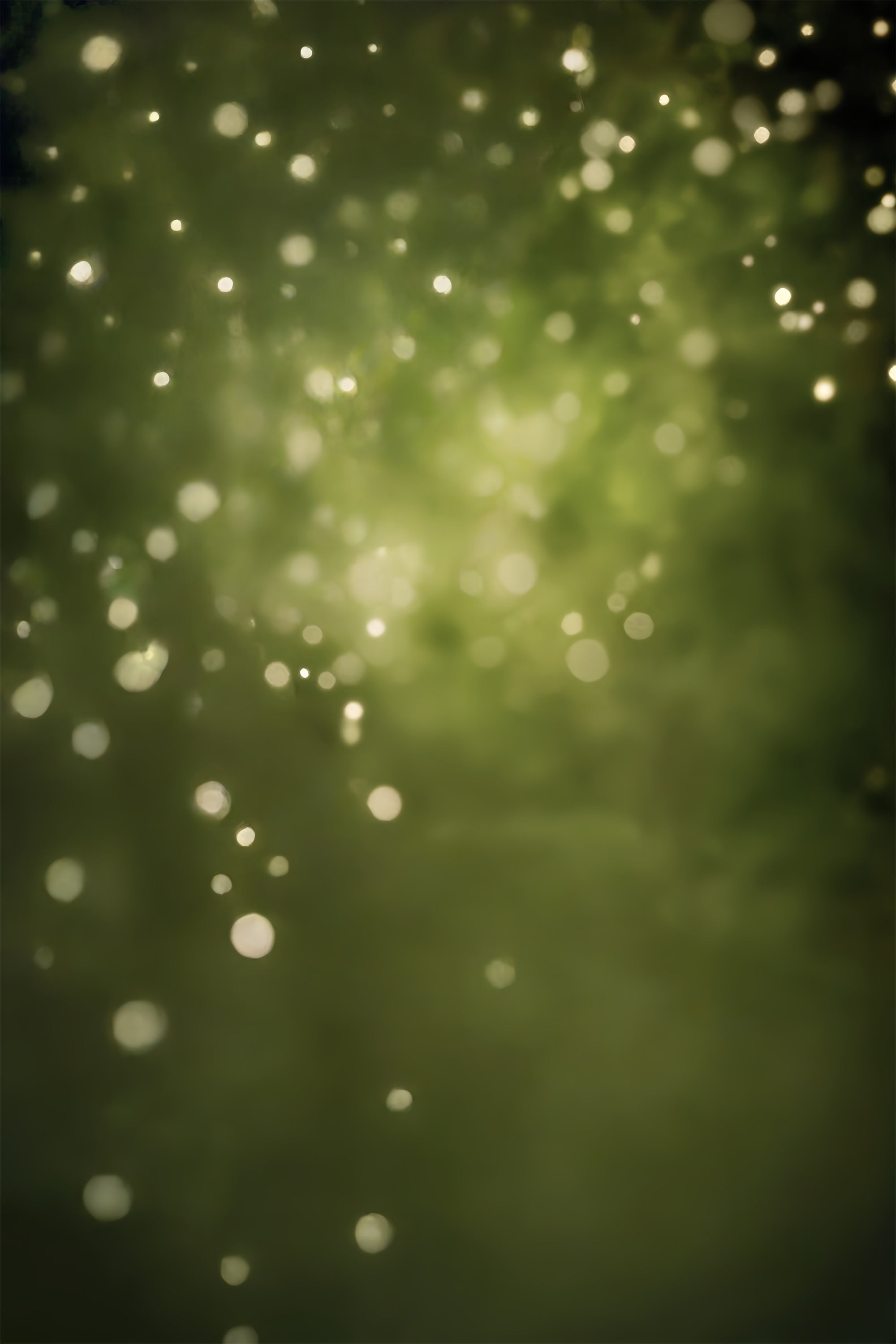 Olive Green Backdrop Forest Haze Bokeh Backdrop CSH57-30