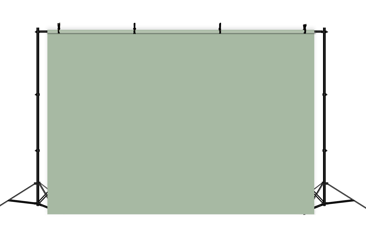 Light Green Backdrop Fresh Sage Haze Backdrop CSH57-325