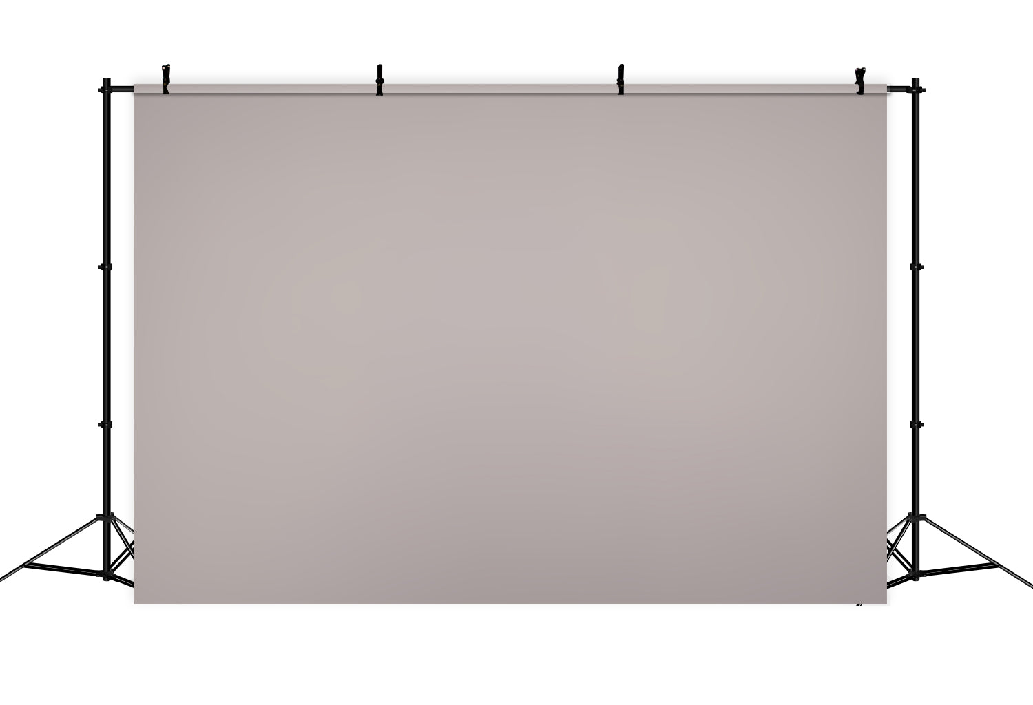 Backdrop For Professional Headshot Gentle Pink Ash Backdrop CSH57-39