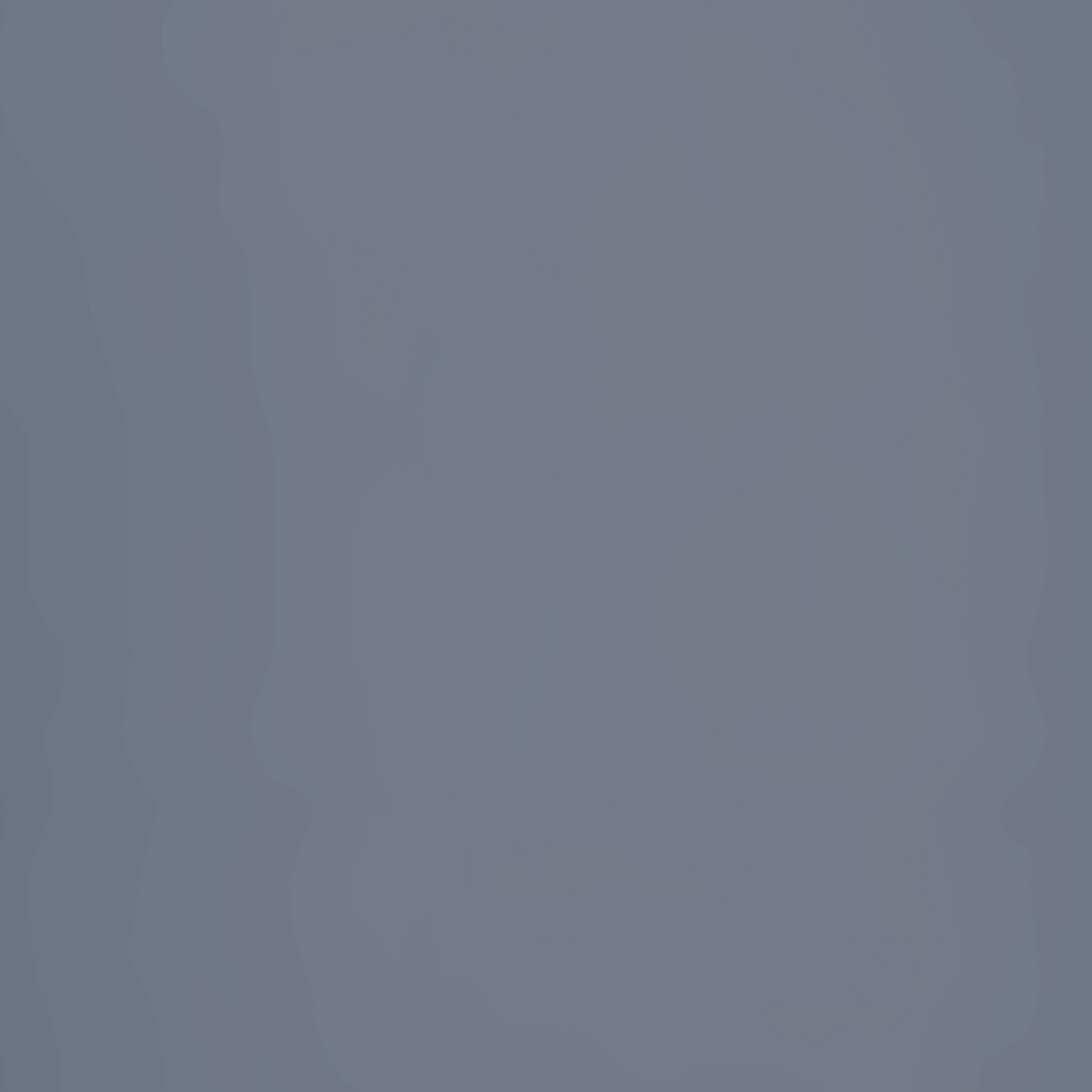 Grey Backdrop Photography Misty Gray Calm Backdrop CSH57-43
