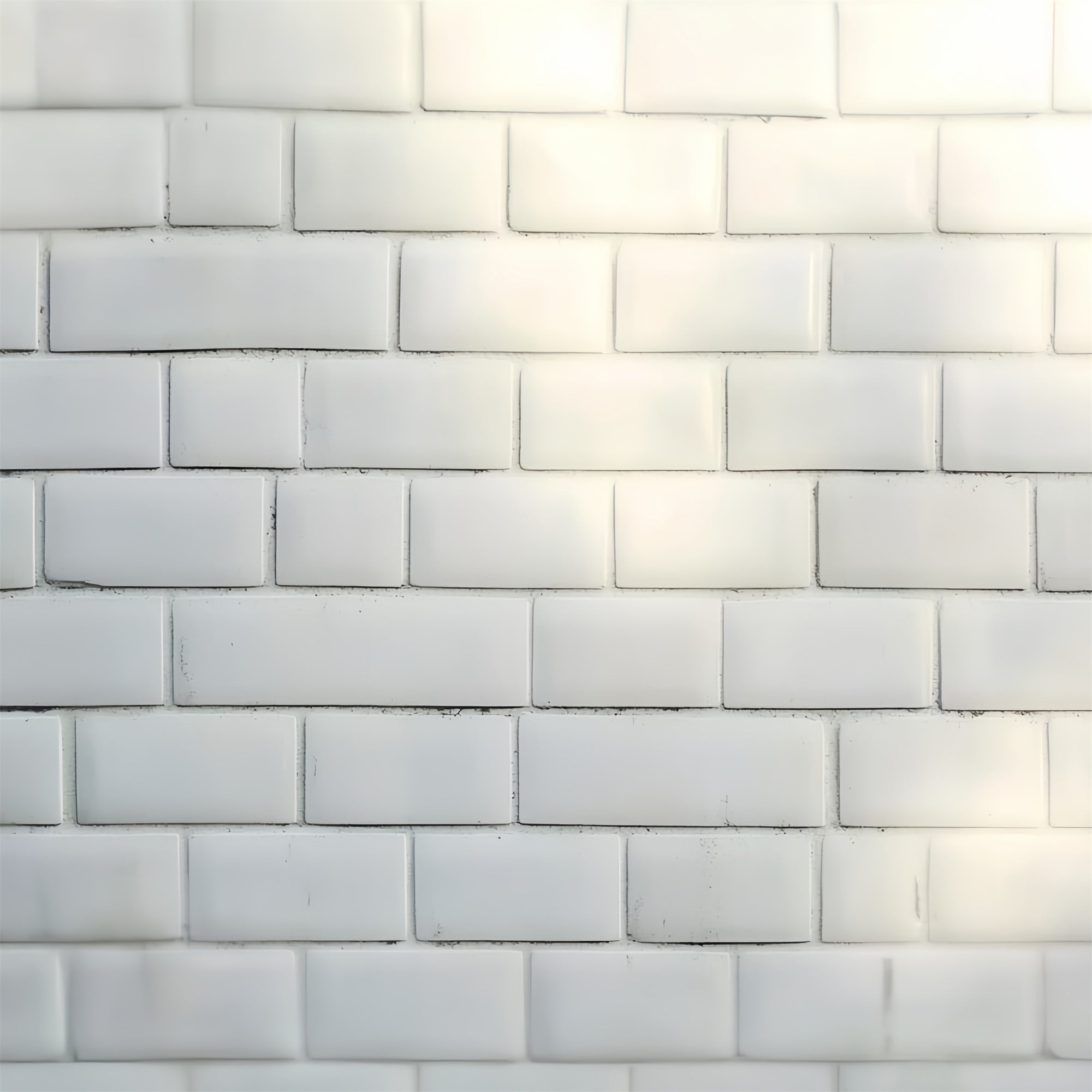 White Brick Backdrop Minimalist Matte Brick Headshot Backdrop CSH57-6