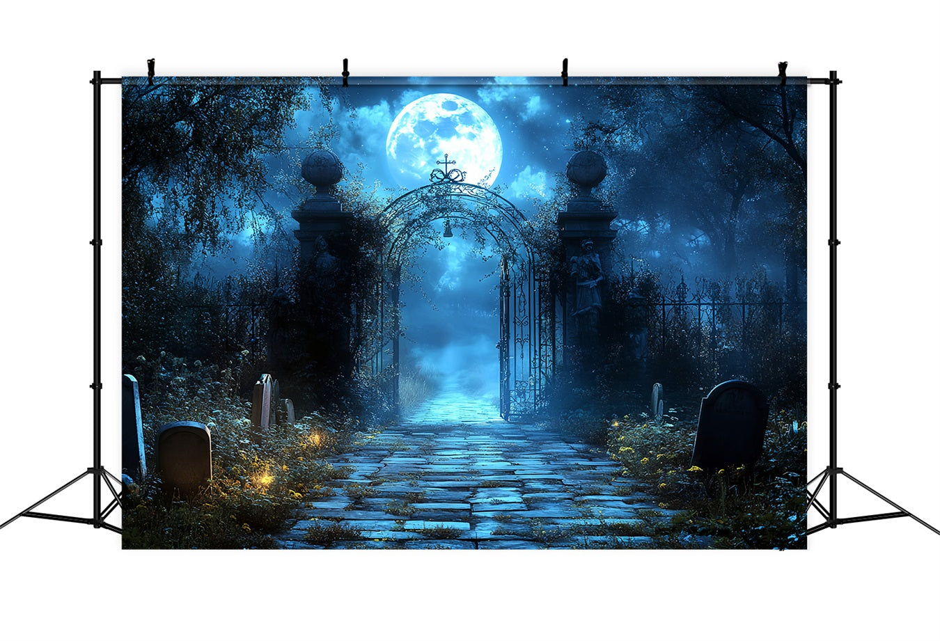Graveyard Backdrop Blue Moon Cemetery Arch Halloween Photo Backdrops CSH58-100