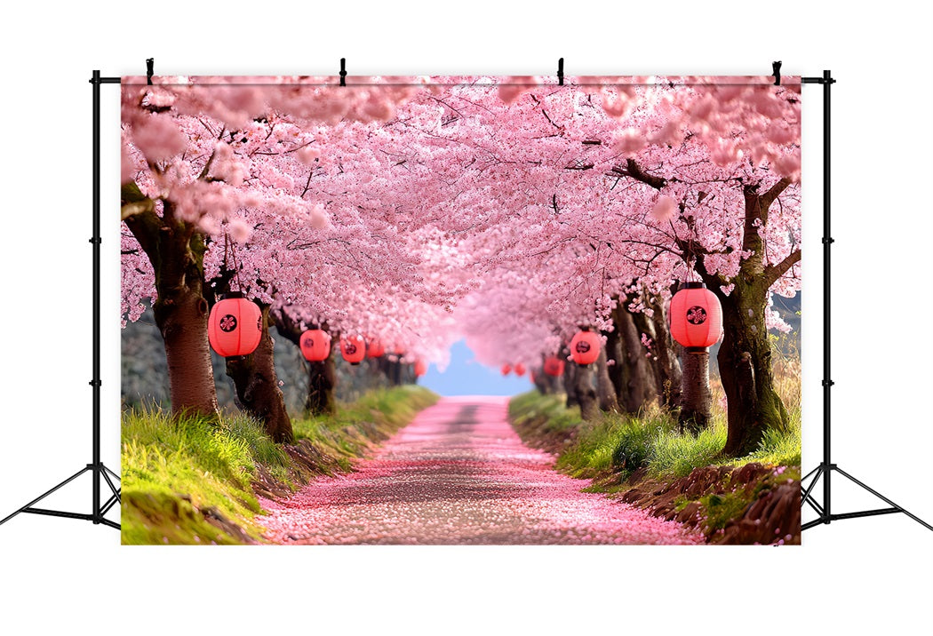 Cherry Blossom Backdrop Sakura Pathway Lantern Rows Spring Flower Backdrop CSH58-106