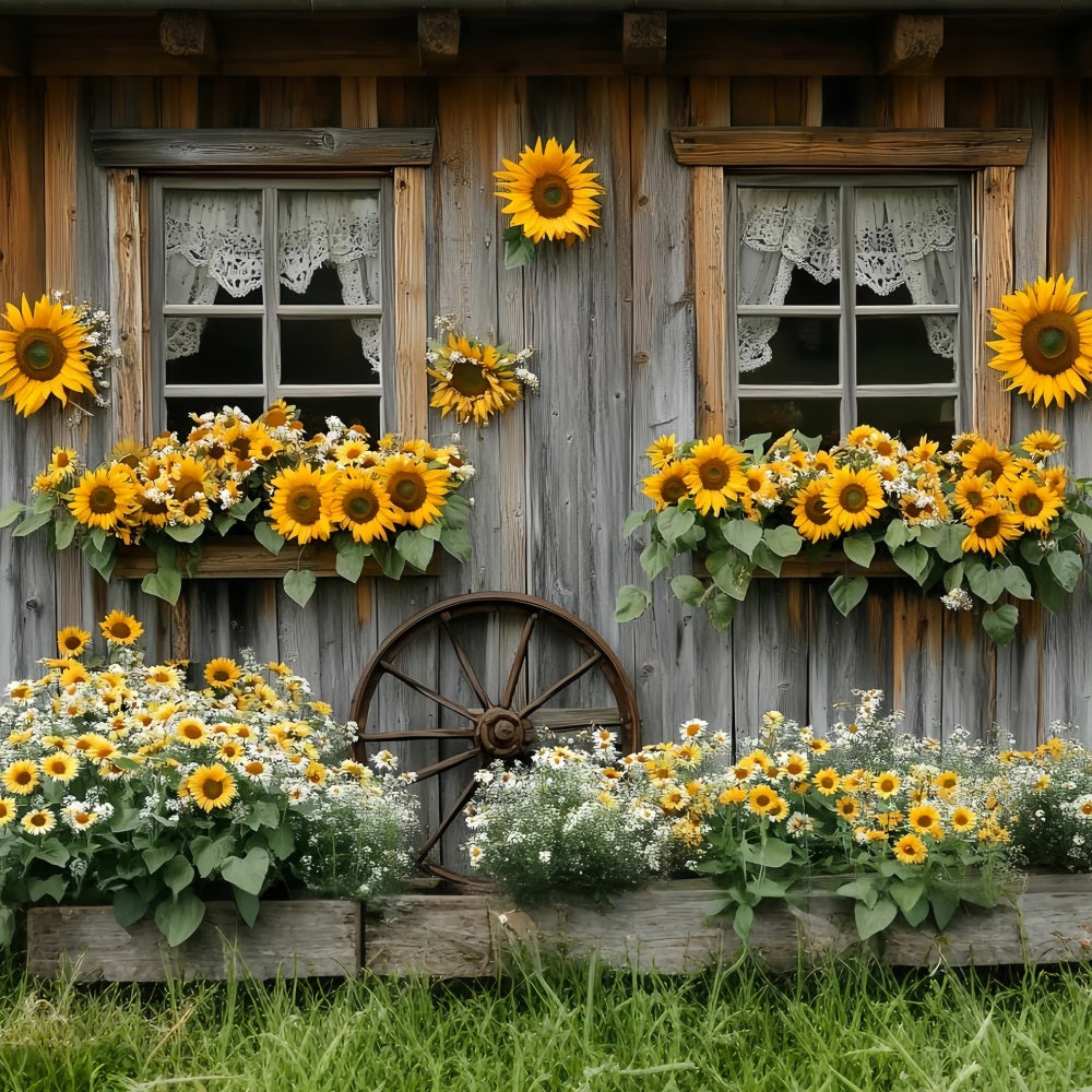 Sunflower Backdrop Rustic Cottage Window Bloom Thanksgiving Backdrop CSH58-128