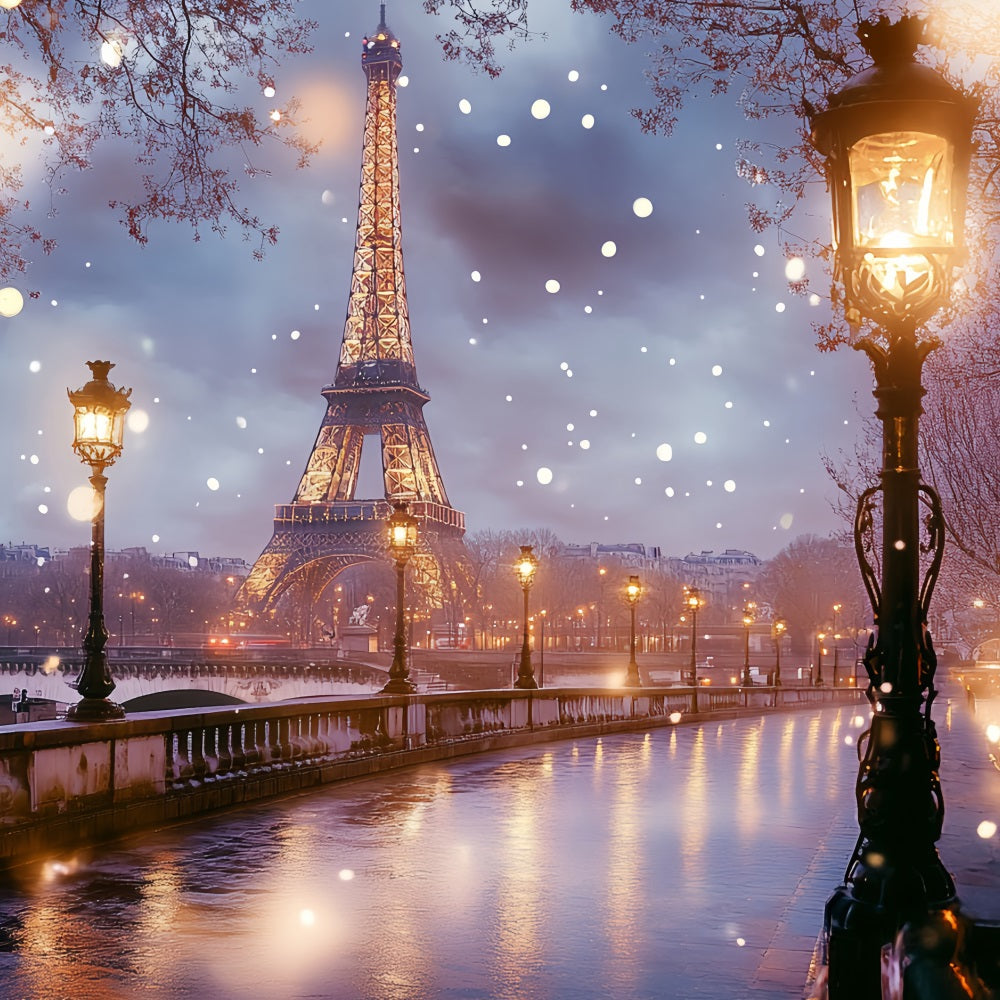 Eiffel Tower Backdrop Champs Elysées Bridge After Dreamy Rain Night Paris Backdrop Ideas CSH58-15