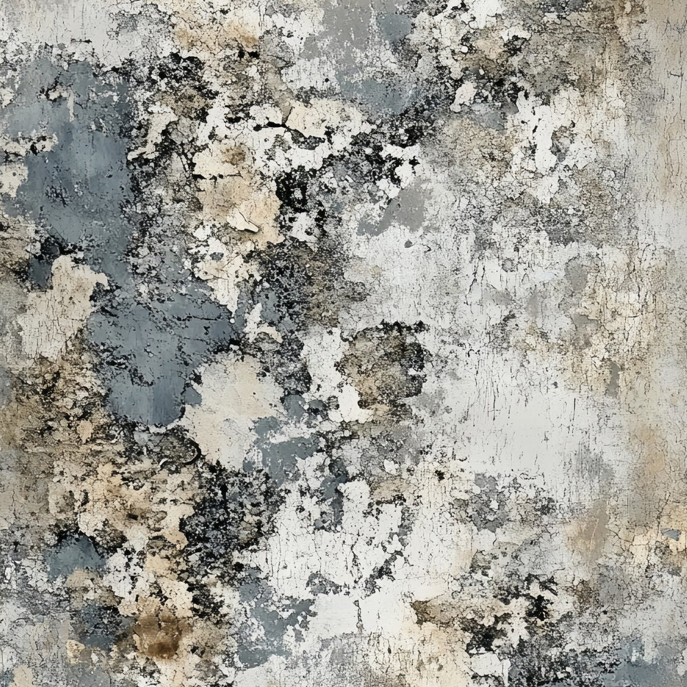 Grunge Backdrop Weathered Stone Concrete Cracks Abstract Photography Backdrops CSH58-180