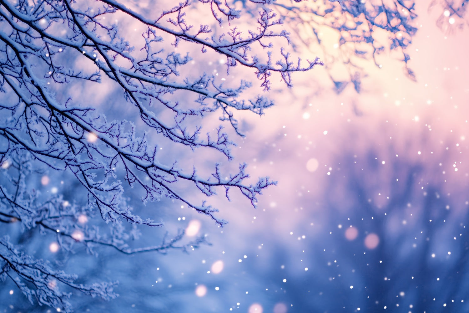Snowflake Backdrop Frosted Branches in Twilight Glow Winter Photo Backdrop CSH58-21