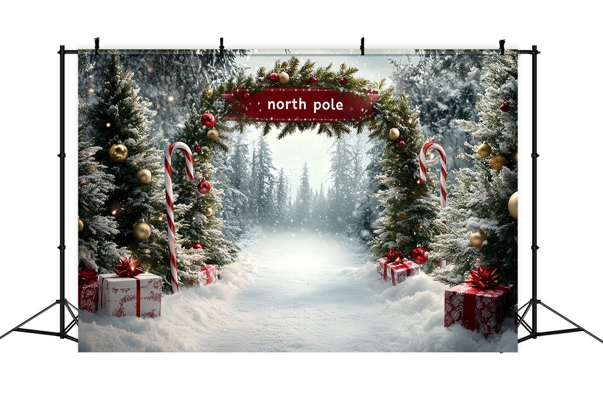 North Pole Backdrop North Pole Candy Cane Gift Pathway Winter Christmas Backdrop CSH58-36