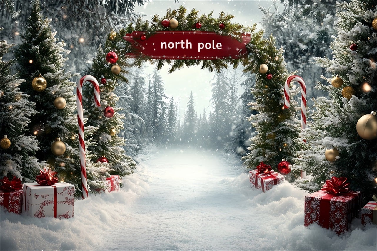 North Pole Backdrop North Pole Candy Cane Gift Pathway Winter Christmas Backdrop CSH58-36