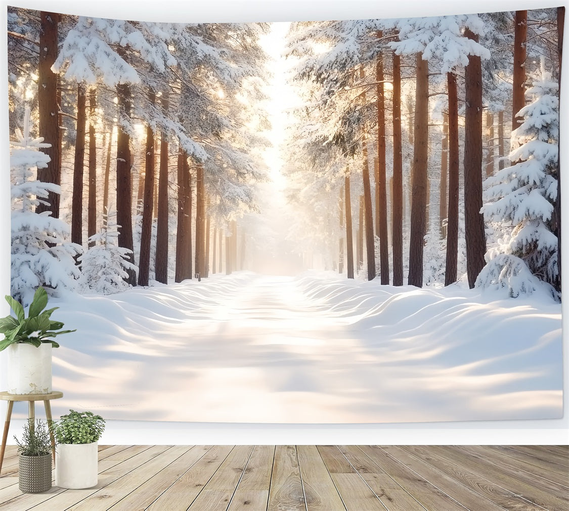 Nature Backdrop Snow-covered Straight Forest Backlighting Warm Sunlight Winter Forest Backdrop CSH58-41