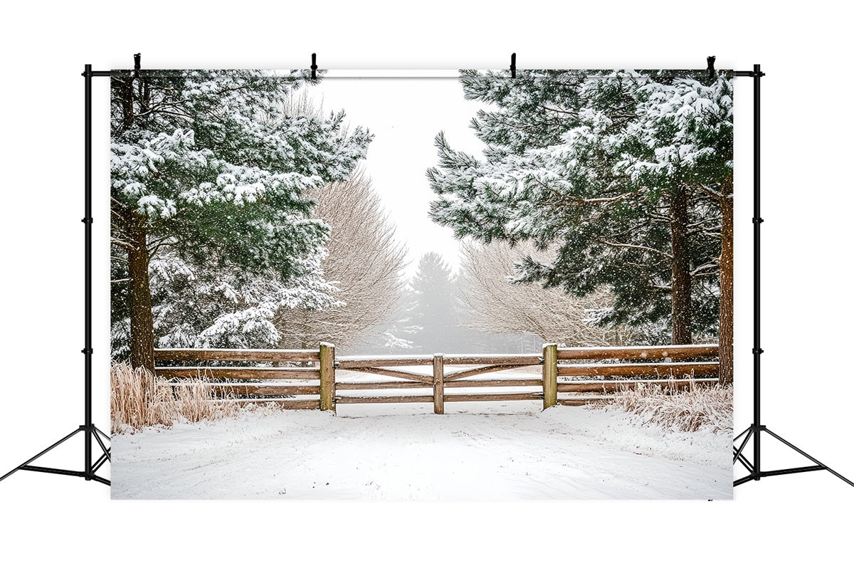 Nature Backdrop Winter Holly Forest Pasture Fencing Winter Backdrop Ideas CSH58-42