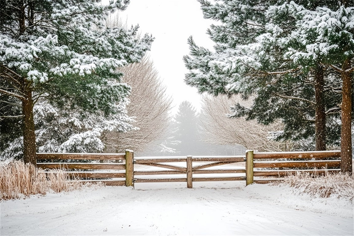Nature Backdrop Winter Holly Forest Pasture Fencing Winter Backdrop Ideas CSH58-42
