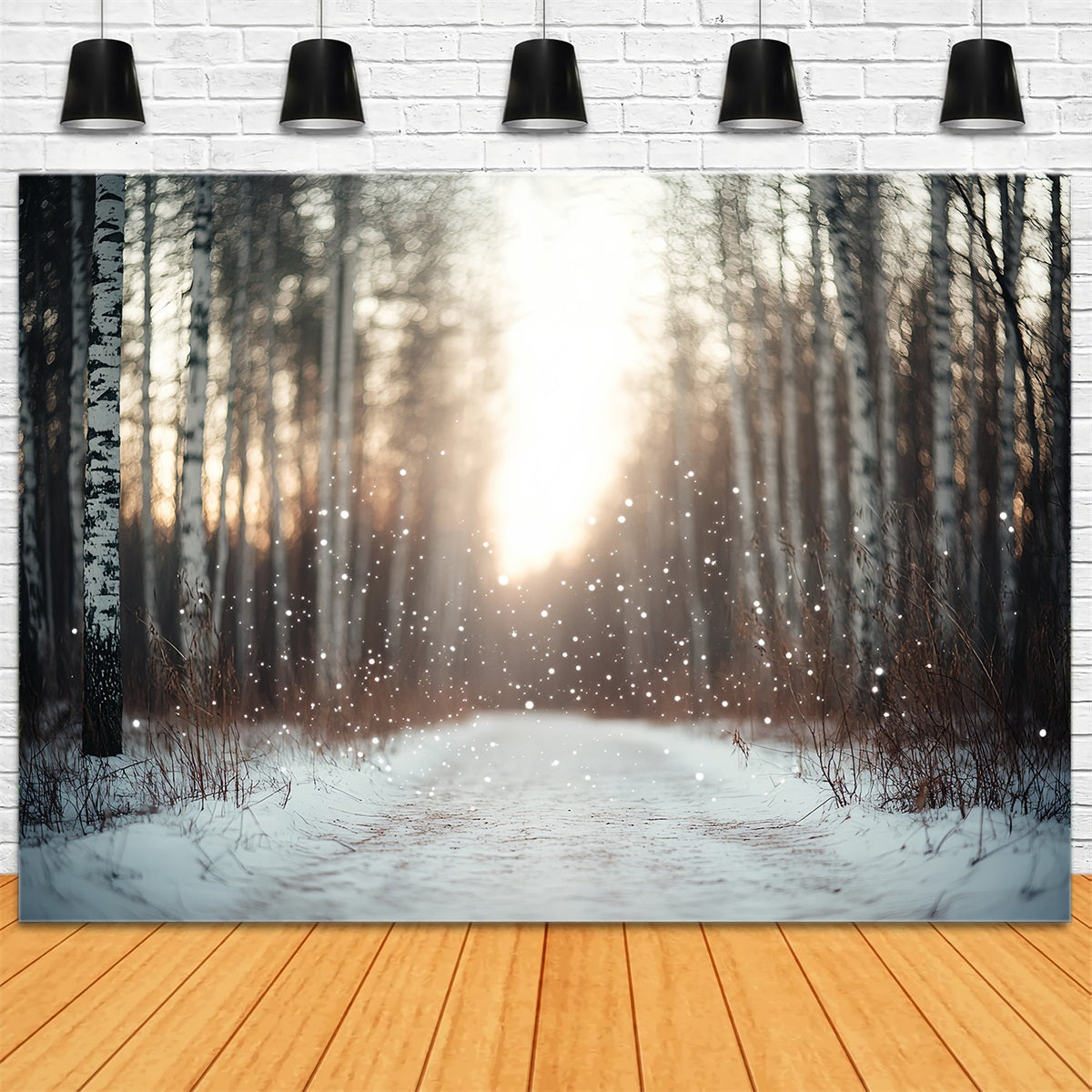 Nature Backdrop Falling Snow Birch Forest Blurred Backlight Winter Backdrops for Photography CSH58-44