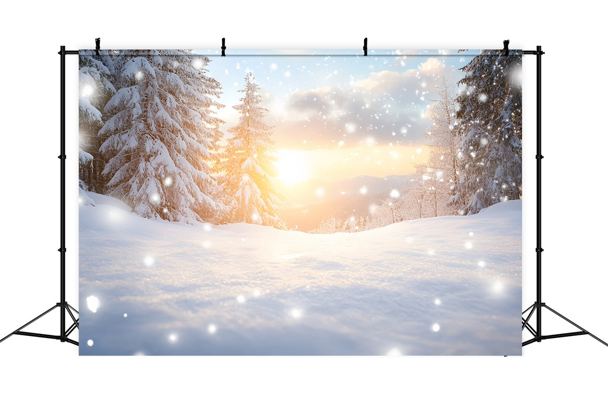 Nature Backdrop Dreamy Winter Warmth Snow Drift Forest Backdrop Winter Wonderland CSH58-45