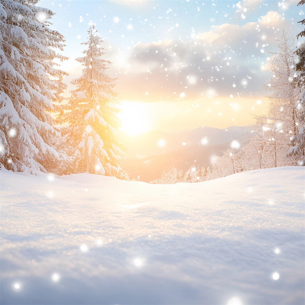 Nature Backdrop Dreamy Winter Warmth Snow Drift Forest Backdrop Winter Wonderland CSH58-45