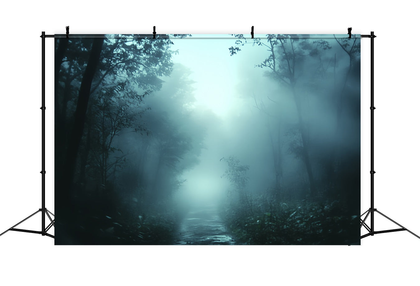 Spooky Backdrop Foggy Midnight Forest Path Halloween Backdrop CSH58-59