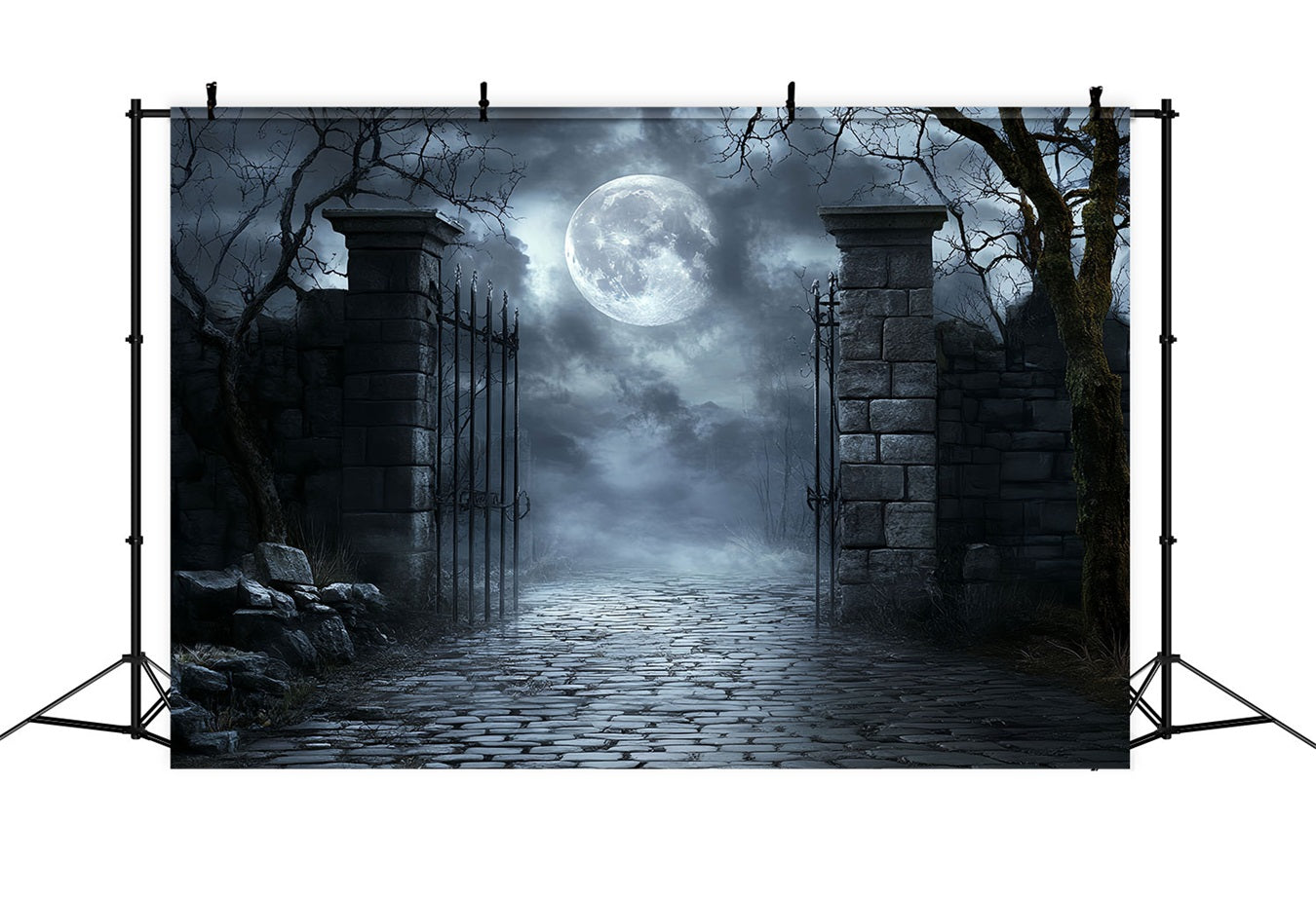 Moon Backdrop Moonlit Cemetery Iron Gate Halloween Photo Booth Backdrop CSH58-71