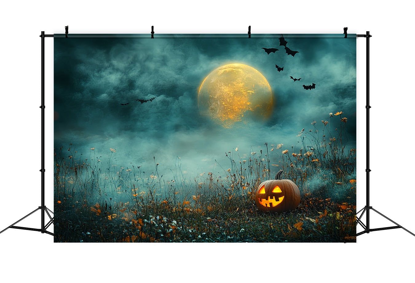 Night Sky Backdrop Pumpkin Moonlit Night Sky Halloween Backdrop CSH58-81