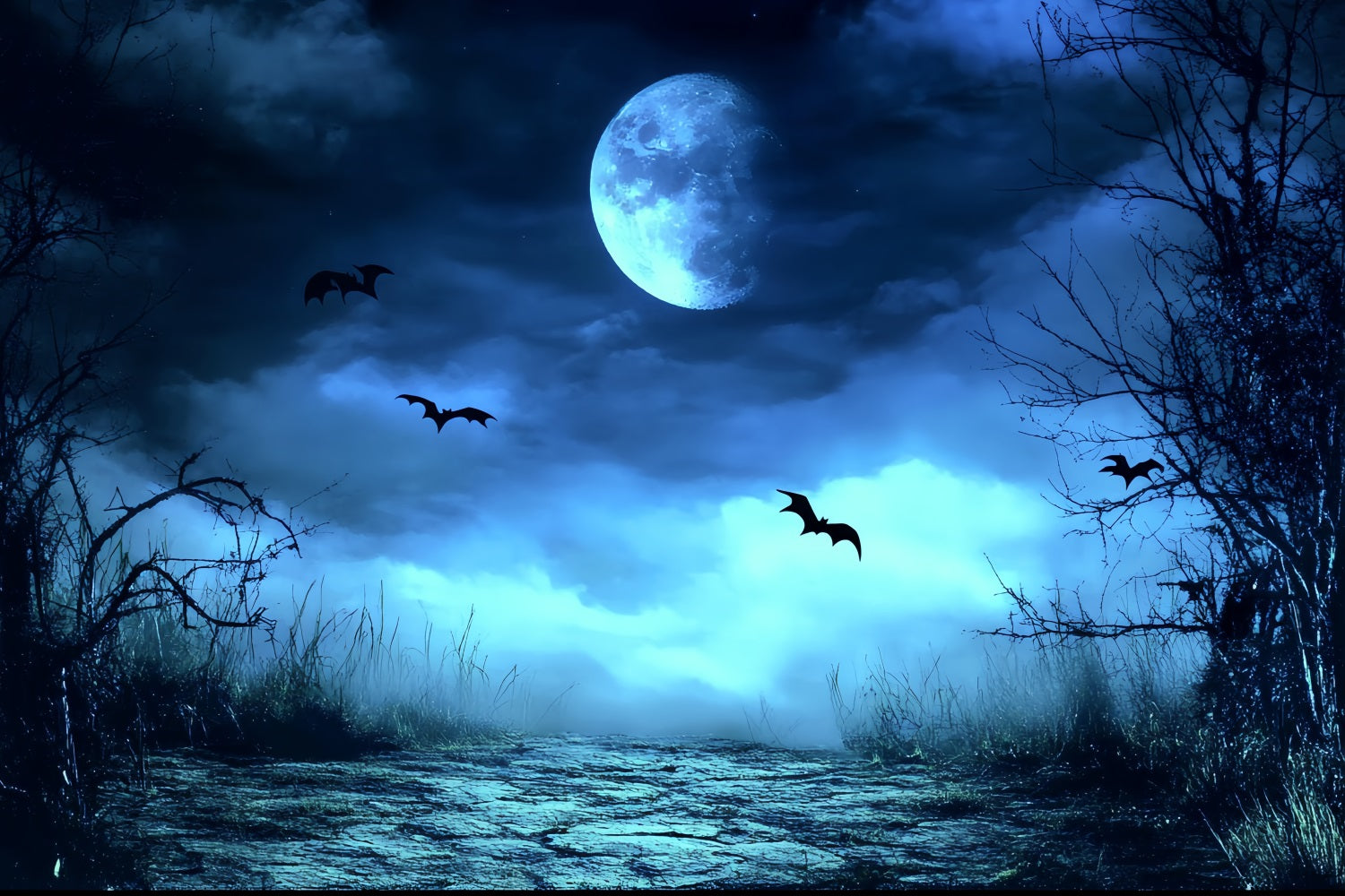 Night Sky Backdrop Blue Mist Spooky Path Halloween Photo Backdrop CSH58-83