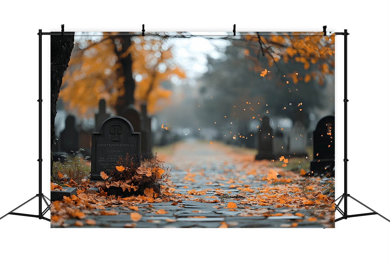 Cemetery Backdrop Autumn Leaves Grave Path Halloween Backdrop CSH58-91