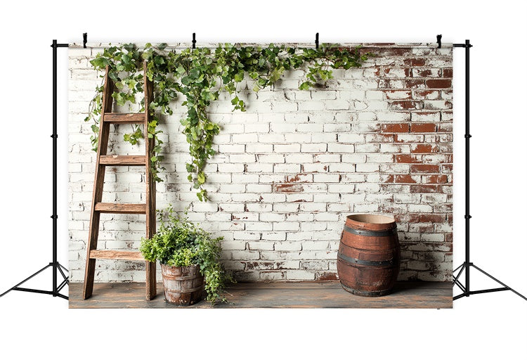 Brick Photo Backdrop Ivy Barrel Rustic Wall Backdrop CSH6-133