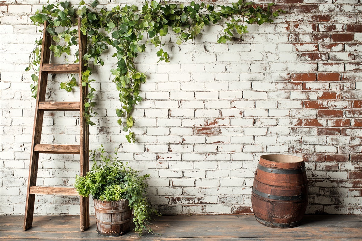 Brick Photo Backdrop Ivy Barrel Rustic Wall Backdrop CSH6-133