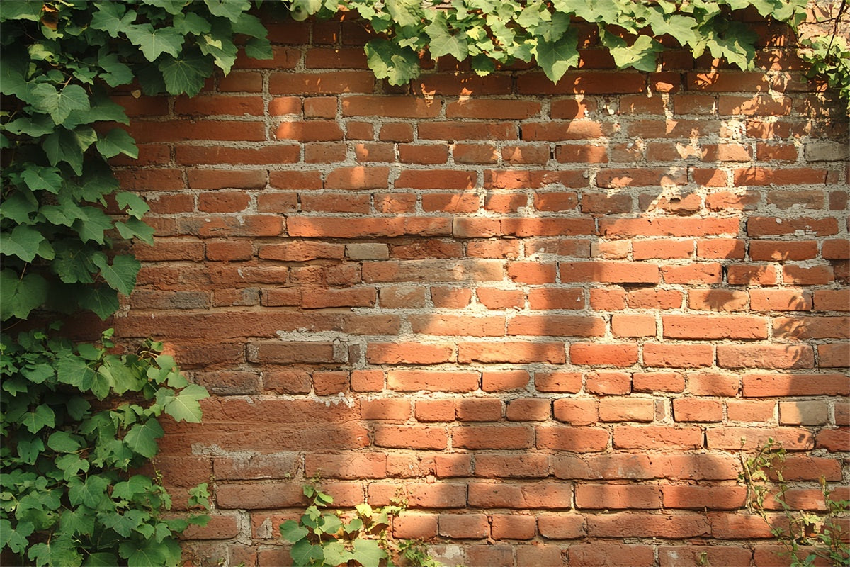 Red Brick Backdrop Rustic Ivy Wall Texture Backdrop CSH6-141