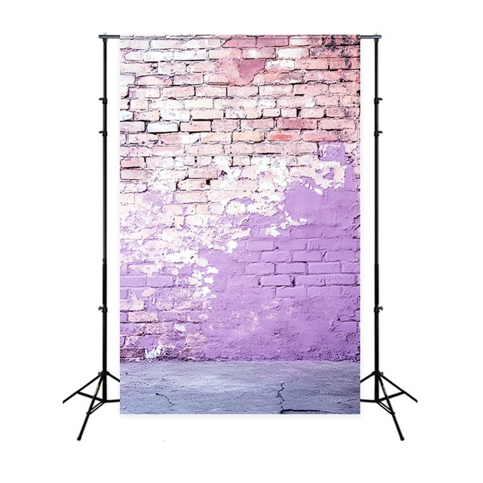 Brick Wall Photo Backdrop Lilac Decay Street Wall Backdrop CSH6-156