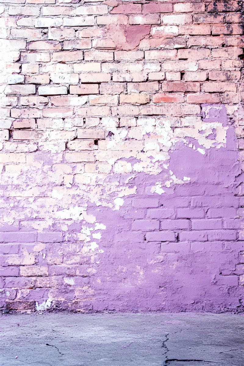 Brick Wall Photo Backdrop Lilac Decay Street Wall Backdrop CSH6-156